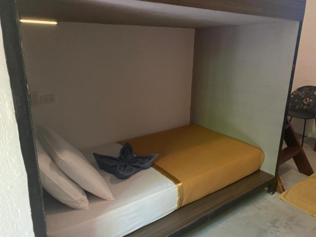 Lexias Hostel And Workspace - Siargao Catangnan Екстериор снимка
